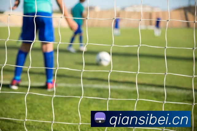 开云手机站官方版网站登录入口 - 开云(中国)APP 体育赛事宣传图